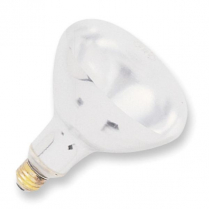 72242 Heat bulb white 120V