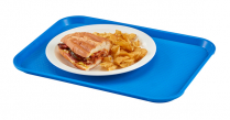 1014FF168 Tray 10x14" blue