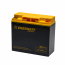 WP20-12   AGM Battery 12V 20Ah