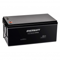 WPL8D   Batterie LiFePO4 Gr 8D 12V 250Ah