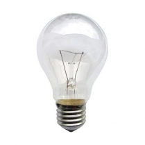 100A191F-12V   Ampoule incandescente type A60 12V 100W E26