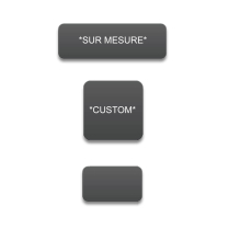 BS6520   Custom Labels (see documentation)