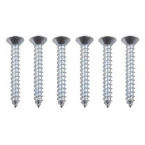 Garnish Moulding Screws - Set of 6 - 1953-56 Ford Truck