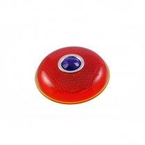 Taillight Lens - w/Blue Dot - 1937 Ford Car