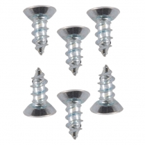 Parking Light Lens Door Screws - 1949 Ford Car