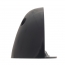 Door Arm Rest - 1948-50 Ford Truck    