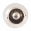 Bulb - #57 - 12 Volt
