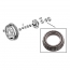 Differential Carrier Bearing - 1966-79 Ford Truck, 1966-79 Ford Bronco, 1957-70 Ford Car  