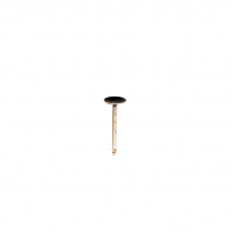 INTAKE VALVE- STANDARD