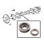 Rear Axle Bearing - 1974-86 Ford Truck, 1978-82 Ford Bronco   