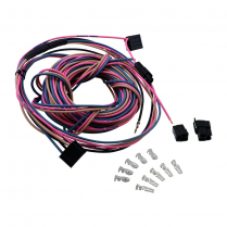 Tailgate Power Window Wiring - 1978-79 Ford Bronco