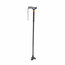 Stand Up Cane