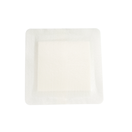 DynaFoam - Waterproof Dressing, Bordered