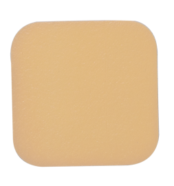 SiliGentle AG - Silicone Foam Dressing
