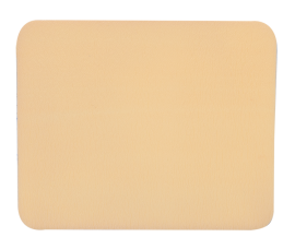 SiliGentle AG - Silicone Foam Dressing