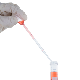 Transfer Pipette, Small Bulb