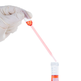 Transfer Pipettes, Large Bulb