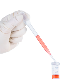 Transfer Pipettes, Large Bulb, Sterile, Individually Wrapped