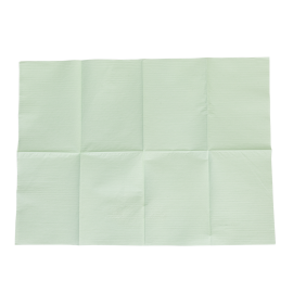 Dental Bibs - Mint Green