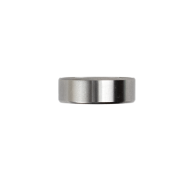 DynaRide S1 S2 S3 Rear Wheel Bearing