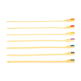 Foley Catheters