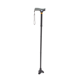 Stand Up Cane