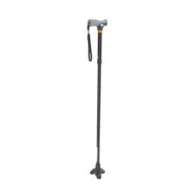 Stand Up Cane