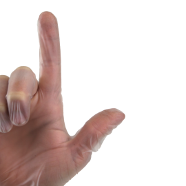 Vinyl Gloves in a Bag, Powder-Free