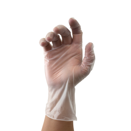 Vinyl Gloves in a Bag, Powder-Free