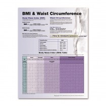 Understanding BMI Laminated Poster