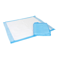 Blue Underpads, Disposable 23"x 24" (31g) 200/cs, Dynarex