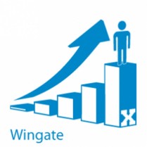 Wingate Module Upgrade to V10
