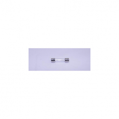 Fuse 10 Amp, NS2700, NS1750, NS1750E, NS2800
