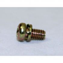 Toyotomi Screw 1G (=20450017)