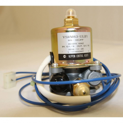 20476419 Fuel Pump, BS36UFF