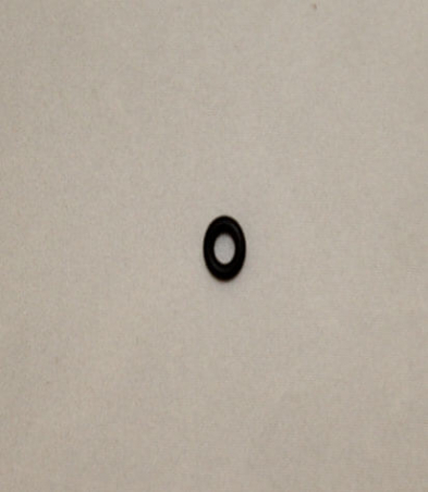 20478568 O-ring (P4)