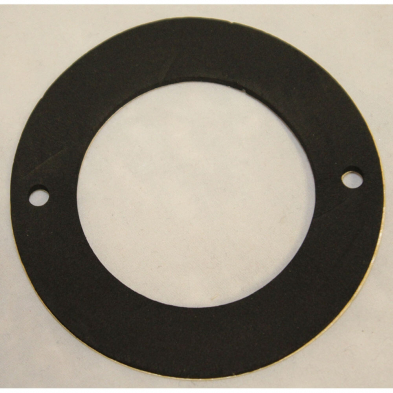 RHF-1000-167 Rinnai Inlet Flange Packing