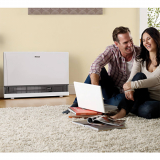 Rinnai EX38DTW Living Room