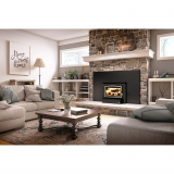 Osburn OB01705 Wood stove Brushed faceplate