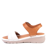 KR-137 WHITE AND TAN