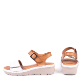 KR-137 WHITE AND TAN