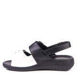 KR-2843 BLACK AND WHITE