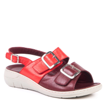 KR-2843 BOURGOGNE ET ROUGE