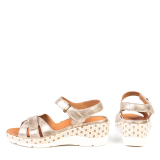 MS-204 M&Eacute;TALLIQUE