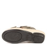 ND-23024 &Eacute;TAIN