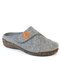 CA-31803 GRIS