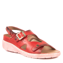 37-39416 RED