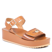 38-781 TAN