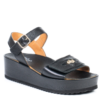38-781 BLACK