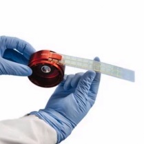 Agar Strips, Yeasts & Molds